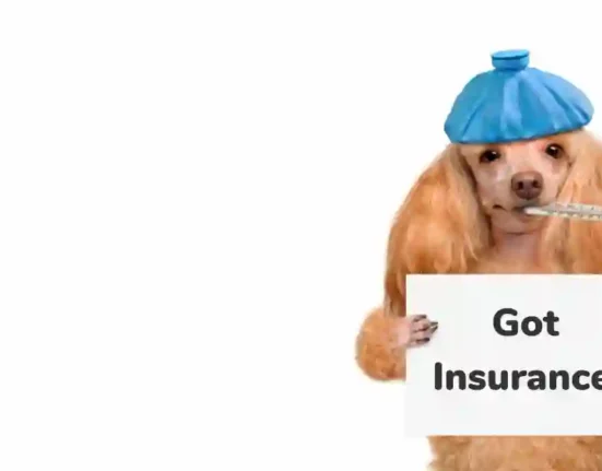 Dog insurance